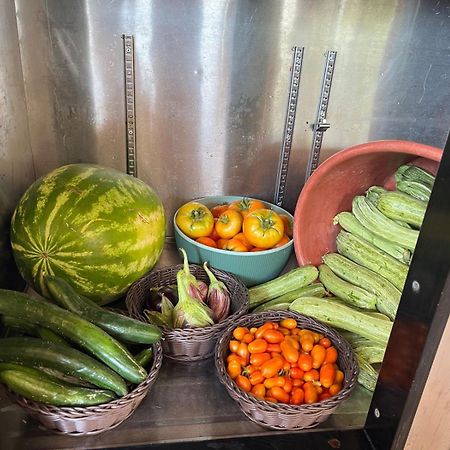 Eco Glamping With Pool Between Nafplio And 阿尔戈斯 外观 照片