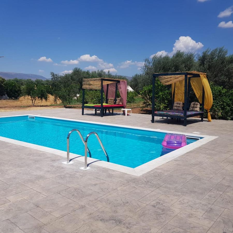 Eco Glamping With Pool Between Nafplio And 阿尔戈斯 外观 照片