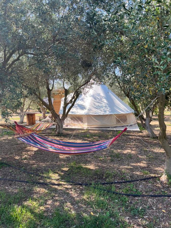 Eco Glamping With Pool Between Nafplio And 阿尔戈斯 外观 照片
