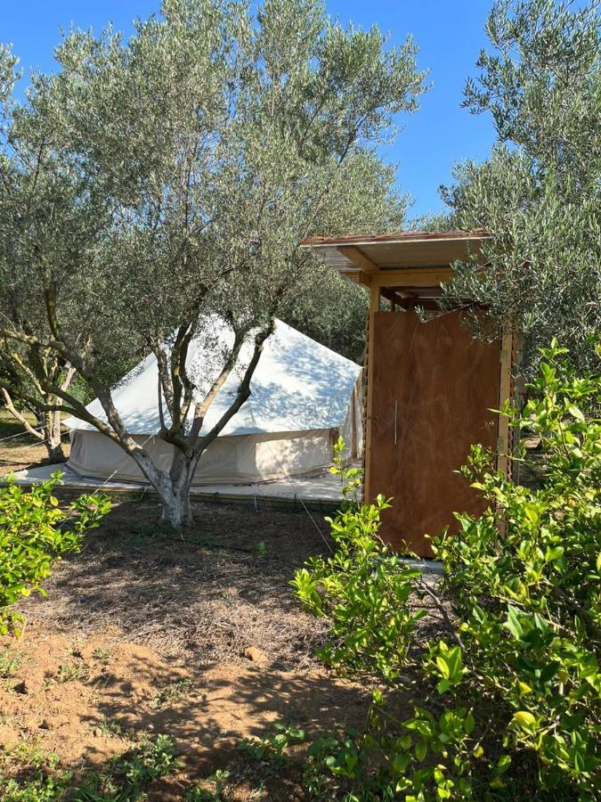 Eco Glamping With Pool Between Nafplio And 阿尔戈斯 外观 照片