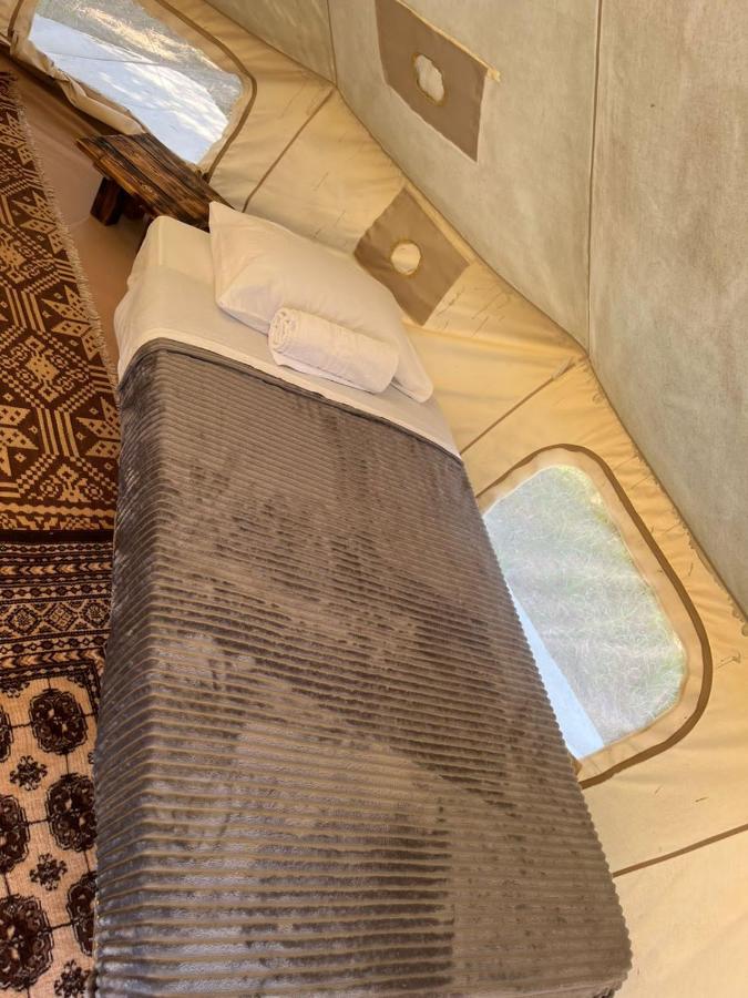 Eco Glamping With Pool Between Nafplio And 阿尔戈斯 外观 照片