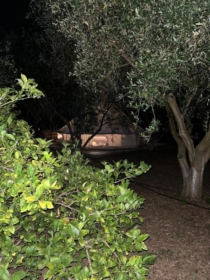 Eco Glamping With Pool Between Nafplio And 阿尔戈斯 外观 照片