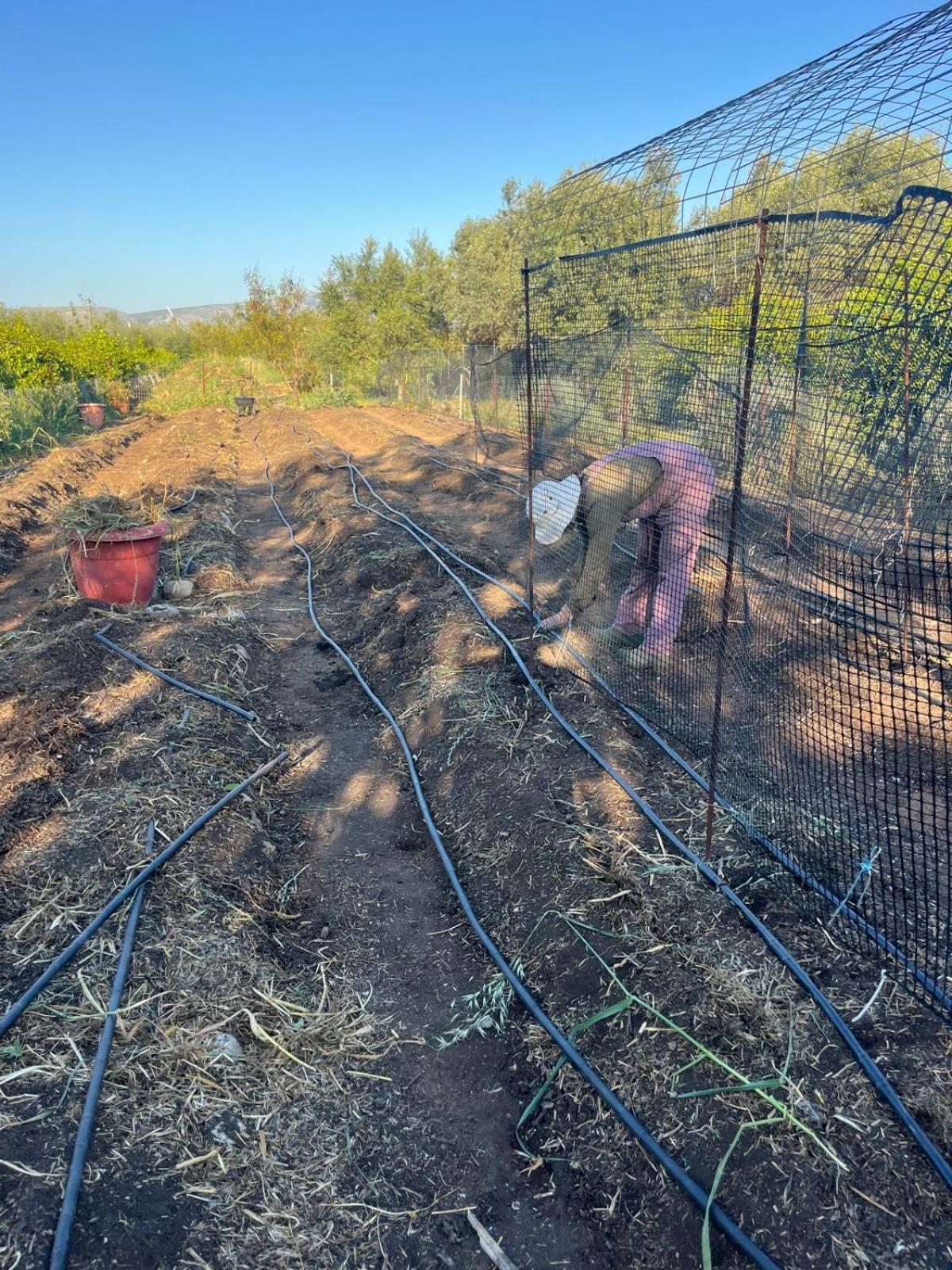 Eco Glamping With Pool Between Nafplio And 阿尔戈斯 外观 照片