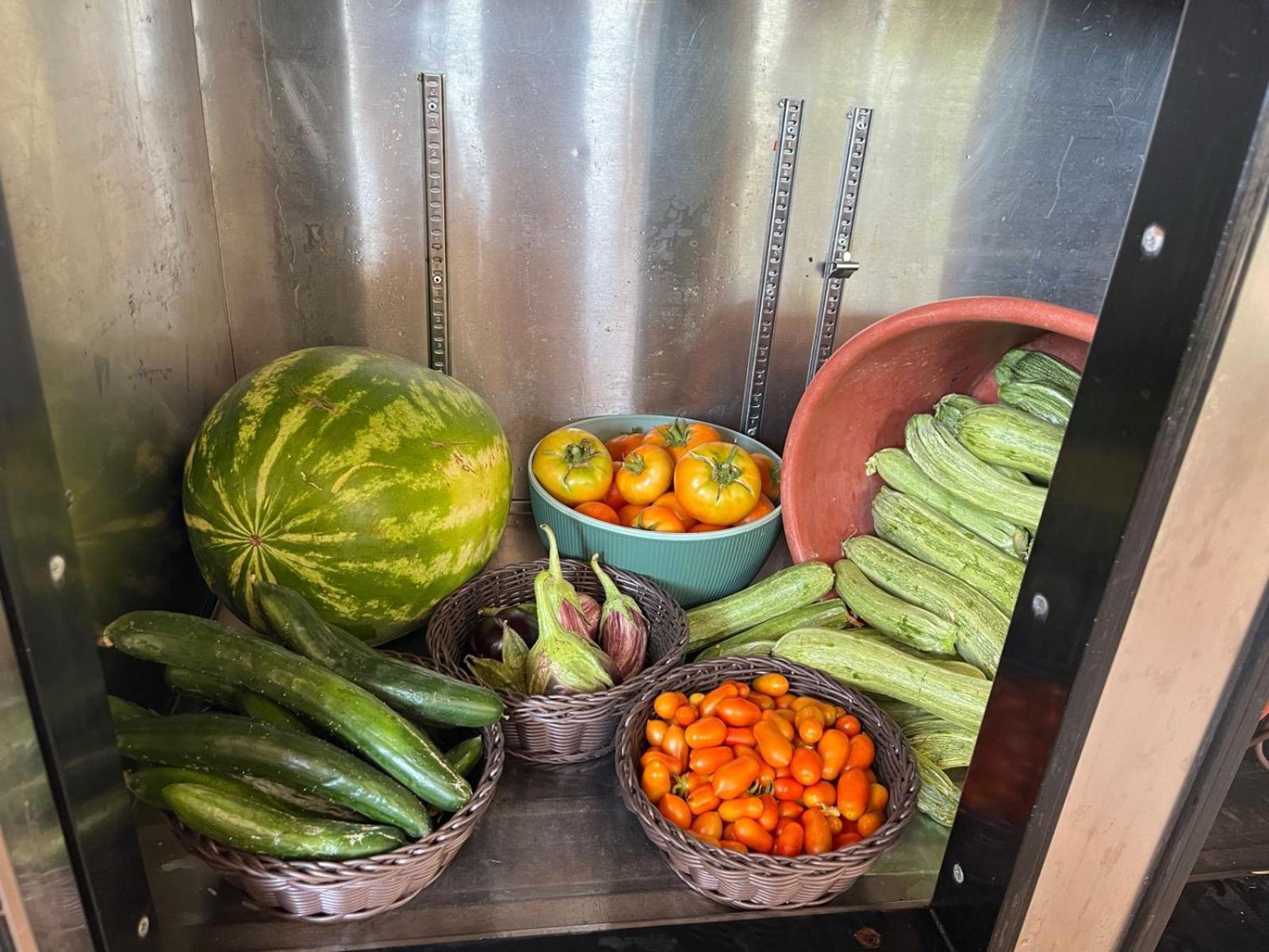 Eco Glamping With Pool Between Nafplio And 阿尔戈斯 外观 照片