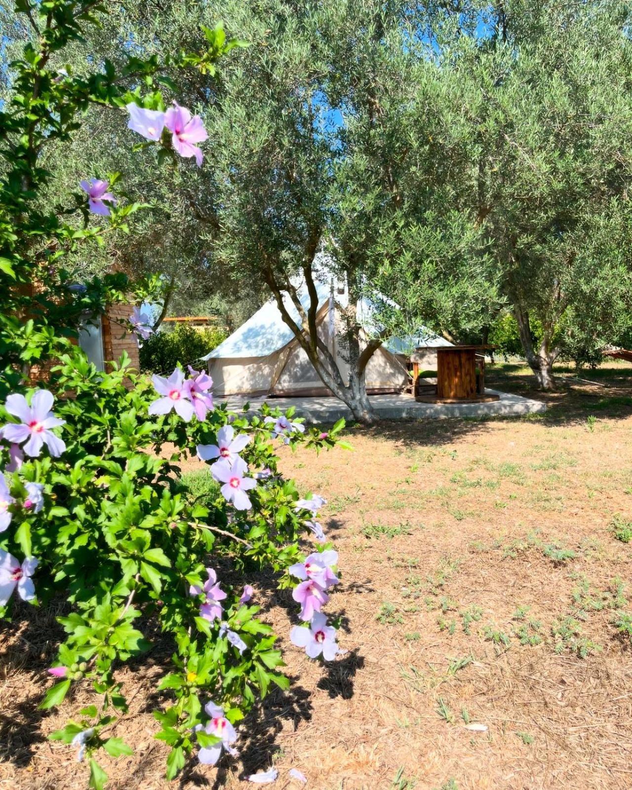 Eco Glamping With Pool Between Nafplio And 阿尔戈斯 外观 照片