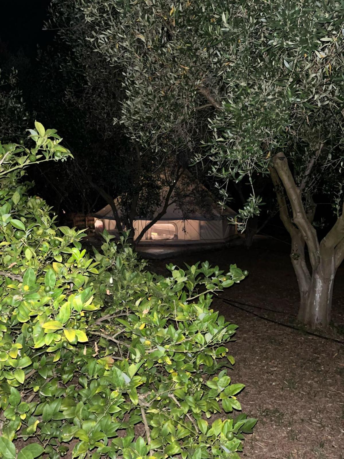 Eco Glamping With Pool Between Nafplio And 阿尔戈斯 外观 照片
